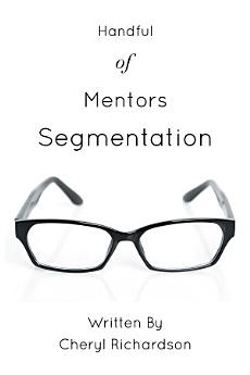 Handful of Mentors Segmentation