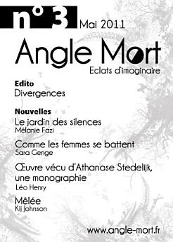 Angle Mort numéro 3