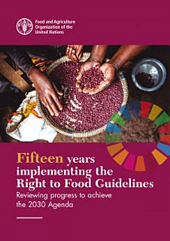 Fifteen years implementing the Right to Food Guidelines