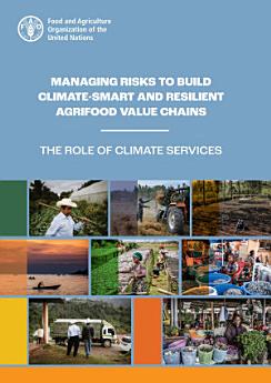 Managing risks to build climate-smart and resilient agrifood value chains